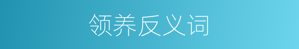 领养反义词的同义词