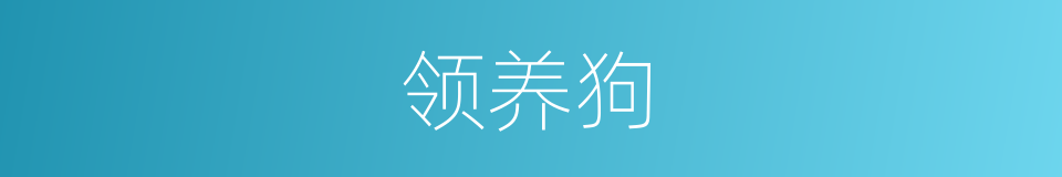 领养狗的同义词