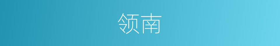 领南的同义词