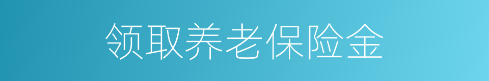 领取养老保险金的同义词