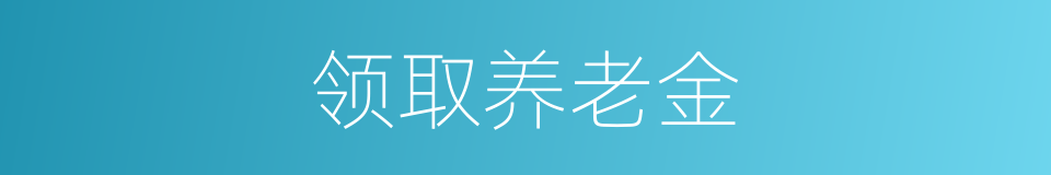 领取养老金的同义词