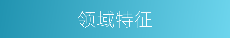 领域特征的同义词