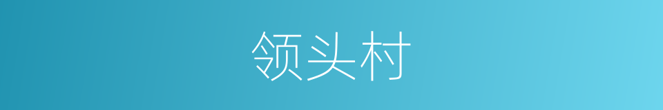 领头村的同义词