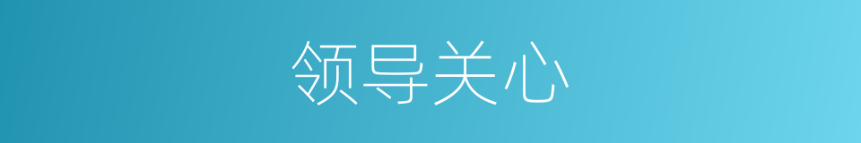 领导关心的同义词