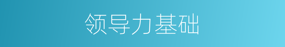 领导力基础的同义词