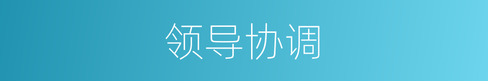 领导协调的同义词