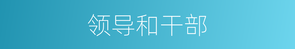 领导和干部的同义词
