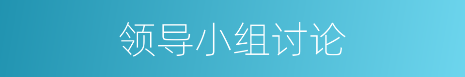 领导小组讨论的同义词