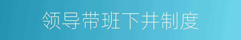 领导带班下井制度的同义词