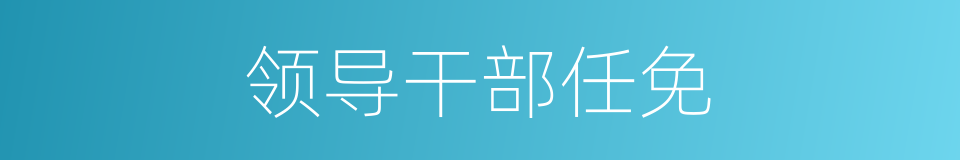 领导干部任免的同义词