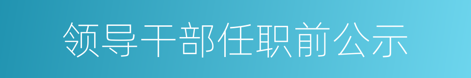 领导干部任职前公示的同义词