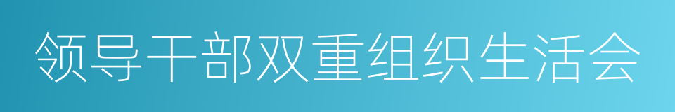 领导干部双重组织生活会的同义词