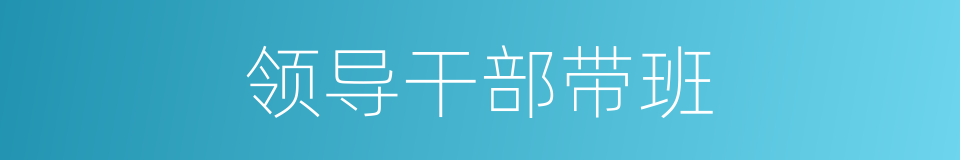 领导干部带班的同义词