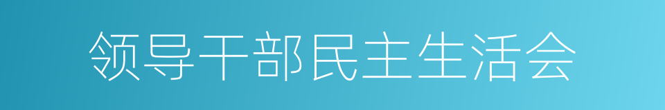 领导干部民主生活会的同义词