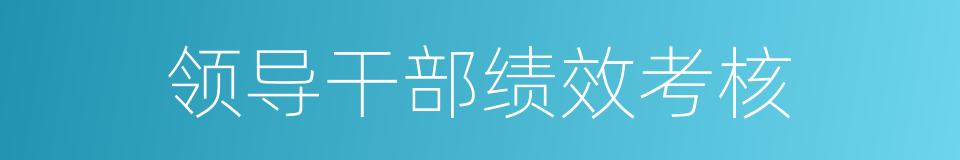 领导干部绩效考核的同义词