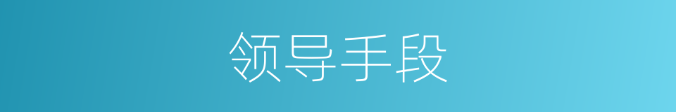 领导手段的同义词