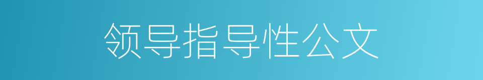 领导指导性公文的同义词
