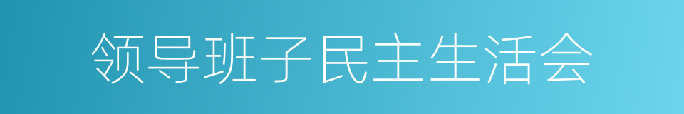 领导班子民主生活会的同义词