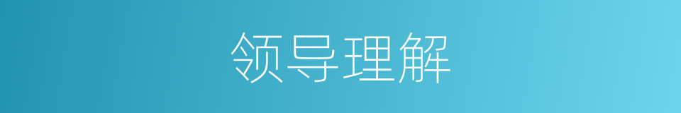 领导理解的同义词