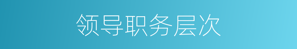 领导职务层次的同义词