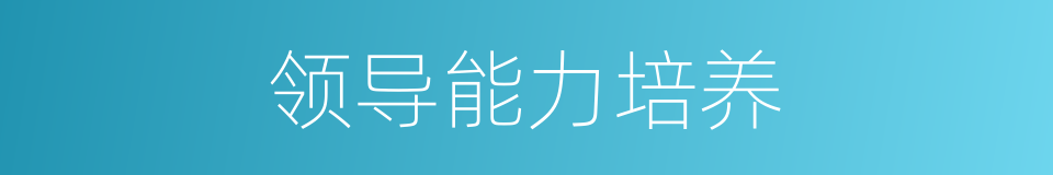 领导能力培养的同义词