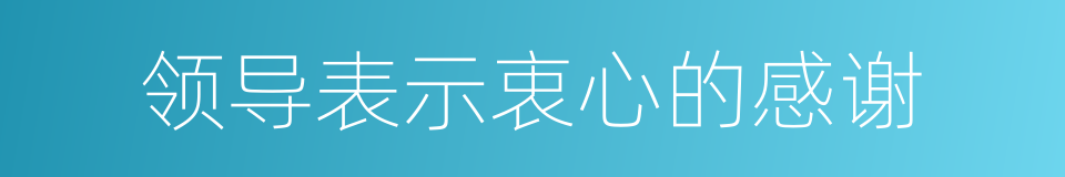 领导表示衷心的感谢的同义词