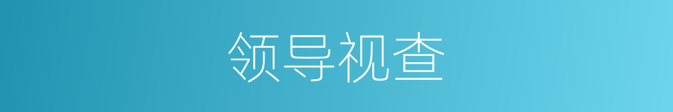 领导视查的同义词