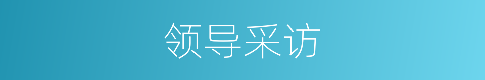 领导采访的同义词