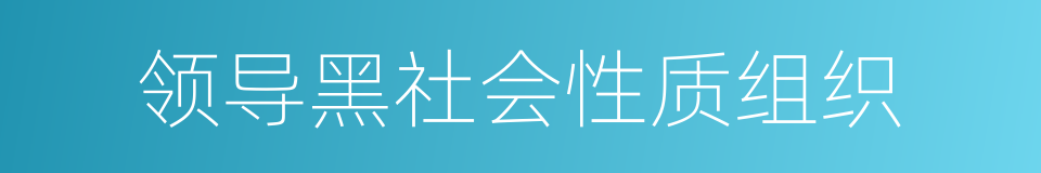 领导黑社会性质组织的同义词