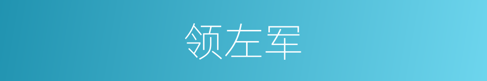 领左军的同义词