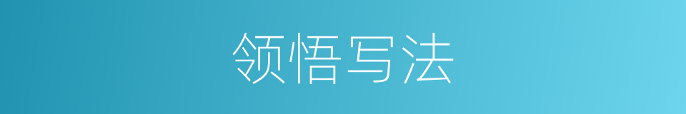 领悟写法的同义词