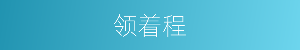 领着程的同义词