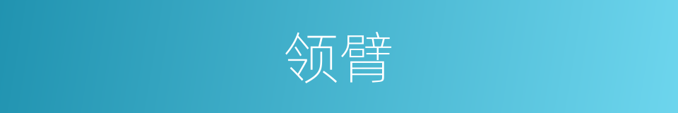 领臂的同义词