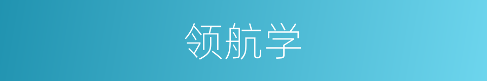 领航学的同义词