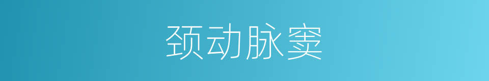 颈动脉窦的意思