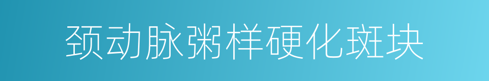 颈动脉粥样硬化斑块的同义词