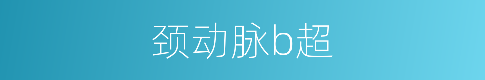 颈动脉b超的同义词