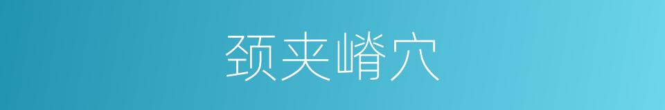 颈夹嵴穴的同义词