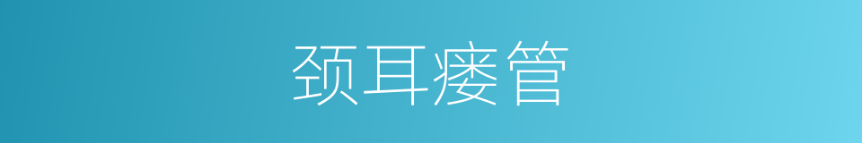 颈耳瘘管的同义词