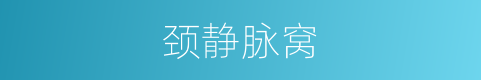 颈静脉窝的同义词