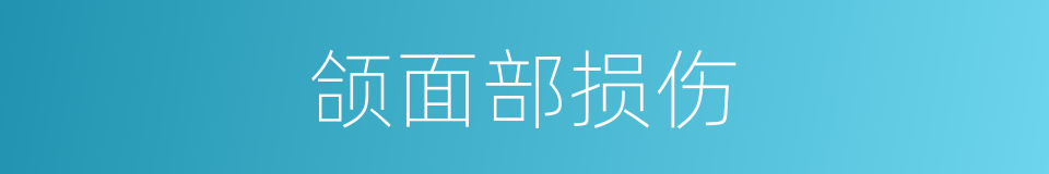 颌面部损伤的同义词