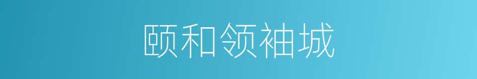 颐和领袖城的同义词