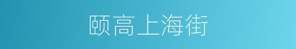 颐高上海街的同义词