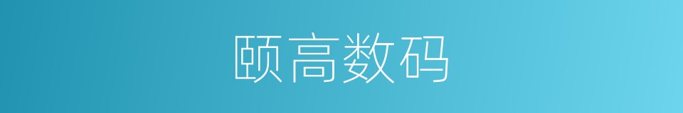 颐高数码的同义词