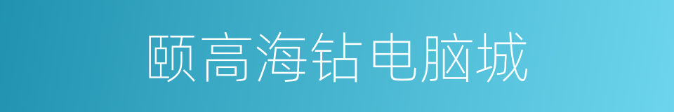 颐高海钻电脑城的同义词