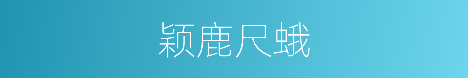 颖鹿尺蛾的同义词