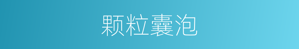 颗粒囊泡的同义词