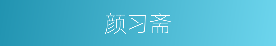 颜习斋的同义词