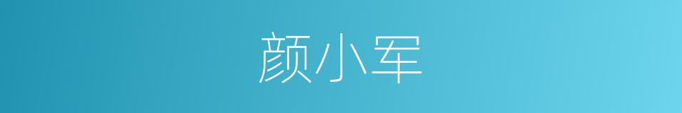 颜小军的同义词