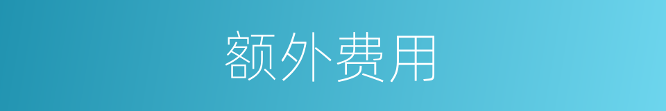 额外费用的同义词